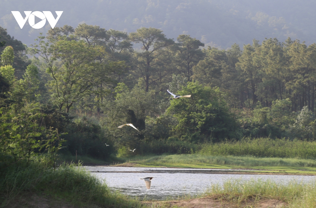 binh yen nhung canh co trang giua long ho yen trung, quang ninh hinh anh 7