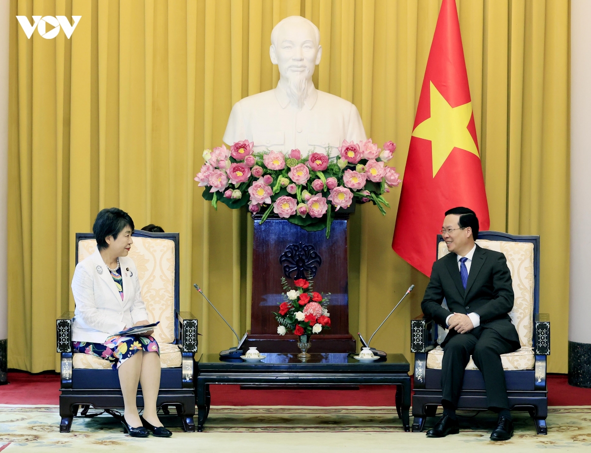 chu tich nuoc vo van thuong tiep bo truong ngoai giao nhat ban hinh anh 2