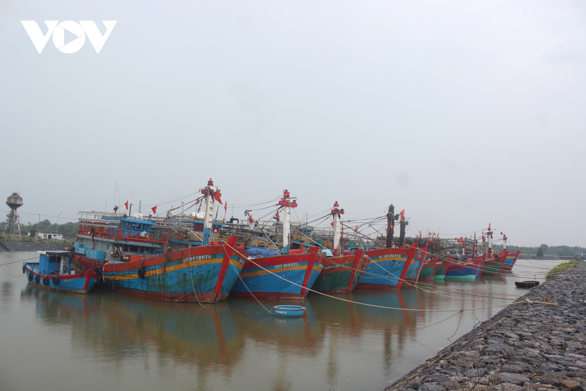 quang binh cam bien, keu goi tau thuyen neo dau tranh bao hinh anh 1