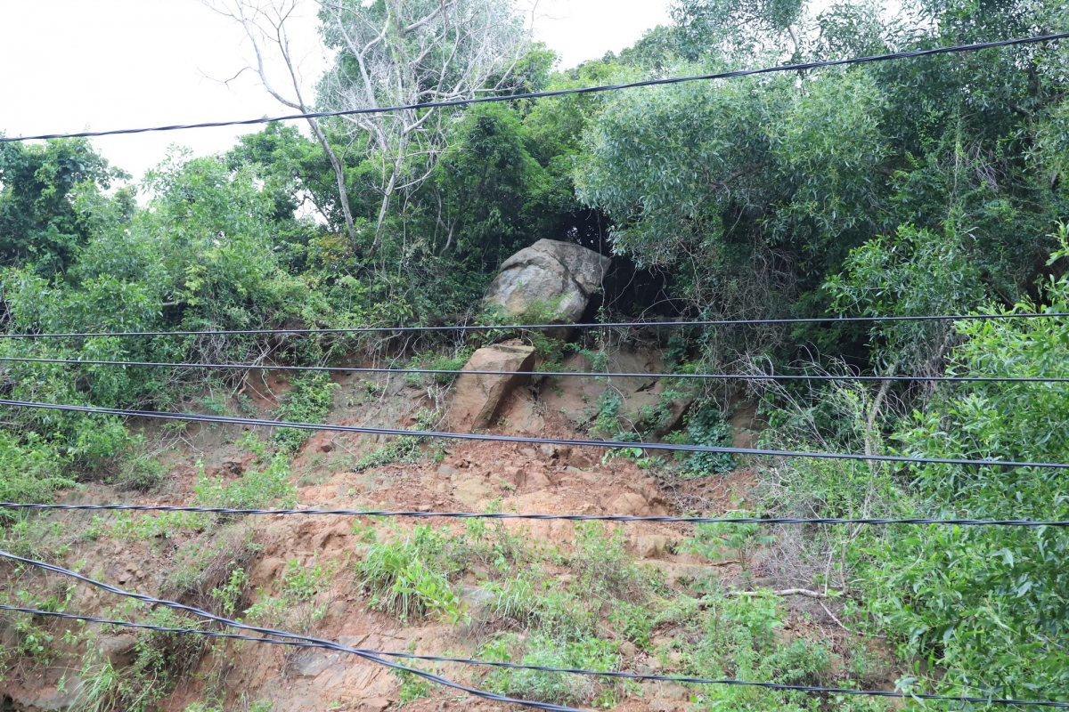 xuat hien da roi, cam phuong tien len ban dao son tra, Da nang hinh anh 11