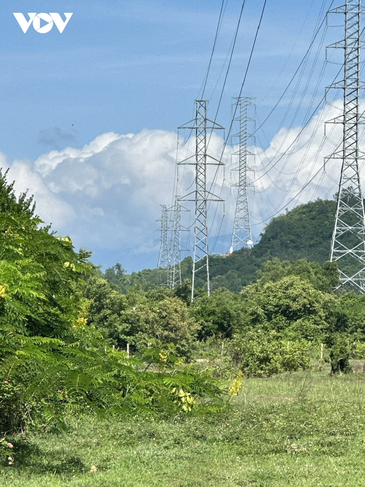 170 thanh giằng trụ điện cao thế ở Khánh Hòa bị đánh cắp