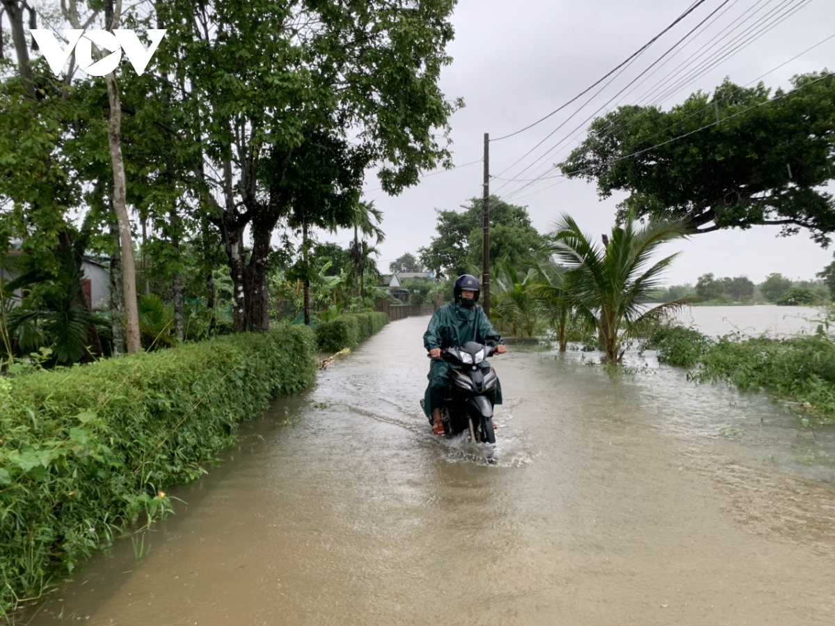 quang tri tap trung ung pho voi mua lu hinh anh 3