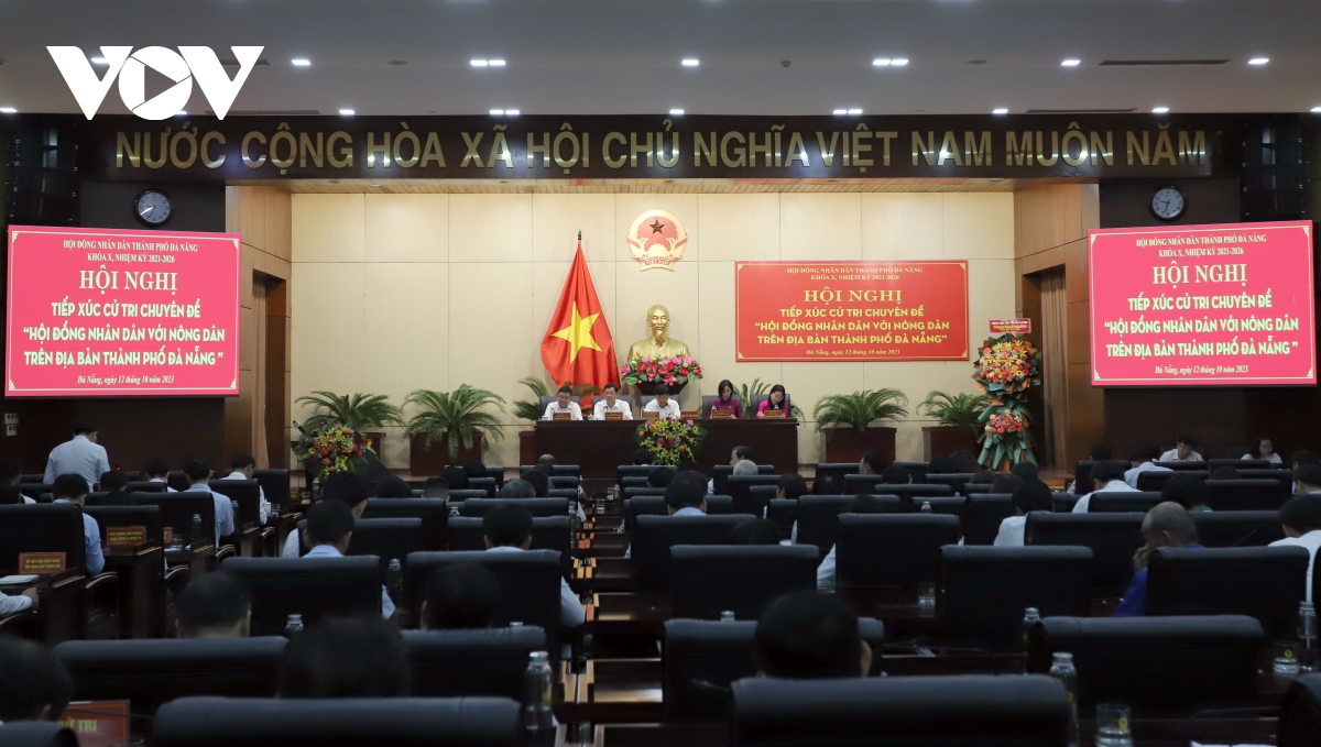 Đà Nẵng: Đất bỏ hoang gây ô nhiễm, nông dân thiếu đất sản xuất