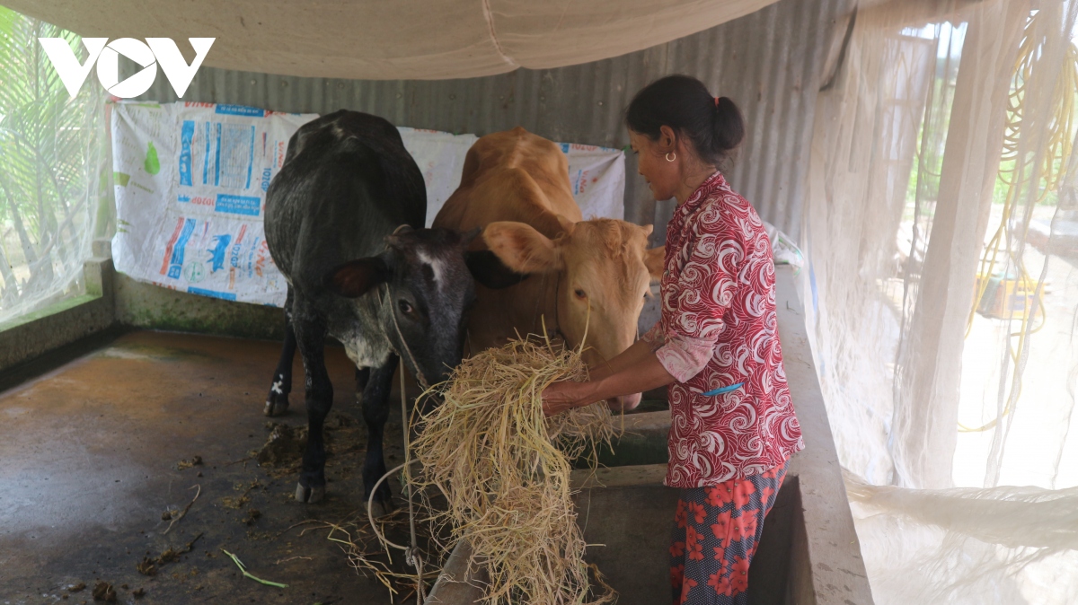 nhieu hoat dong cham lo dong bao khmer don le sene dolta tai soc trang hinh anh 10