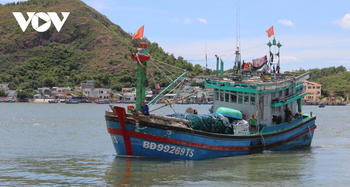 Bình Định xử phạt nặng tàu cá vi phạm quy định hoạt động