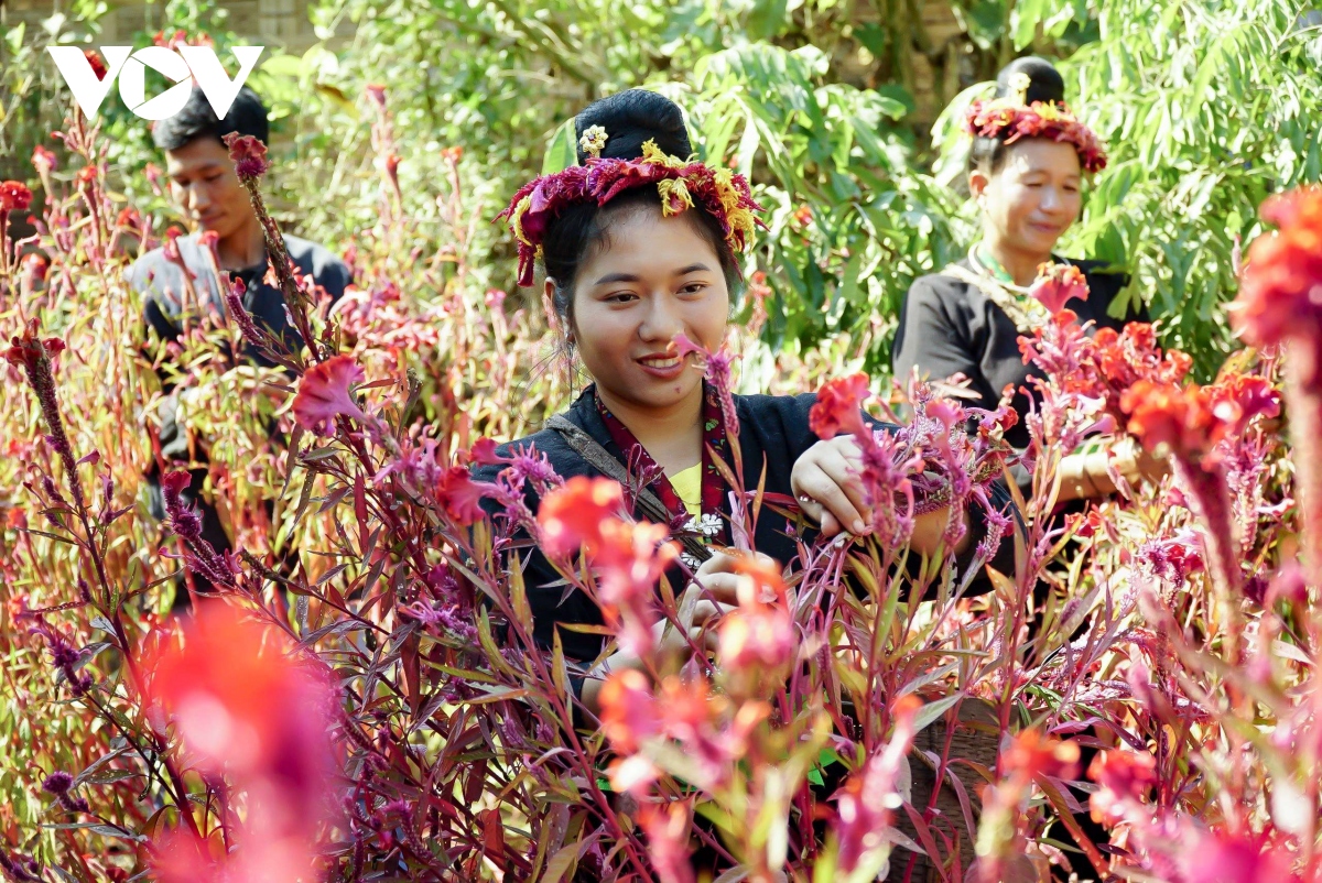 thuc hien nhiem vu phat trien kinh te- xa hoi vung dan toc cong tinh ien bien hinh anh 9