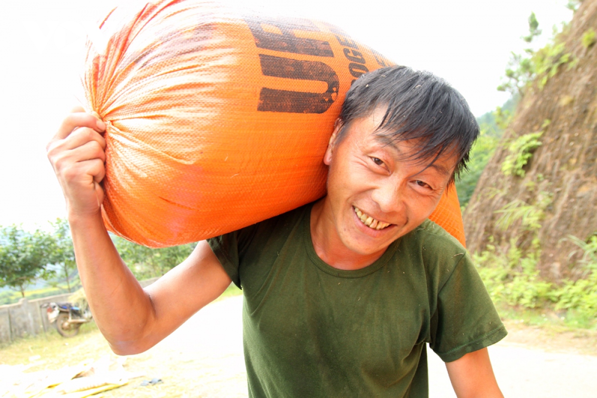 tăng cường hỗ trợ, thúc đẩy phát triển lúa hàng hóa ở lai châu hình ảnh 5 tang cuong ho tro, thuc day phat trien lua hang hoa o lai chau hinh anh 5