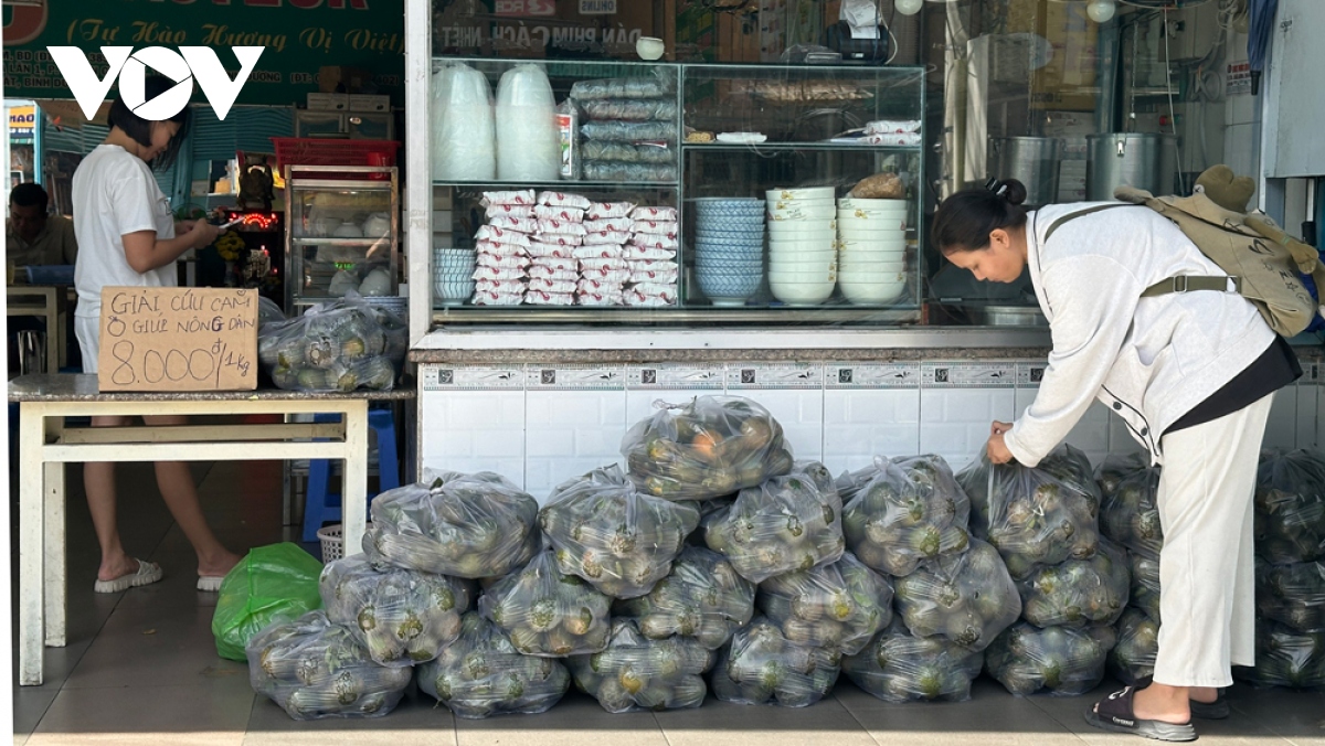 Nông dân ở Bình Dương gặp khó vì thương lái không thu mua cam sành