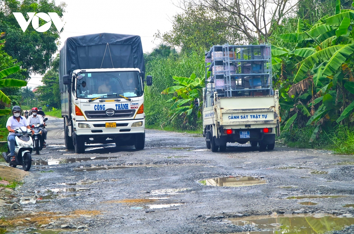 Duong noi o thanh pho ca mau chi chit o voi hinh anh 1