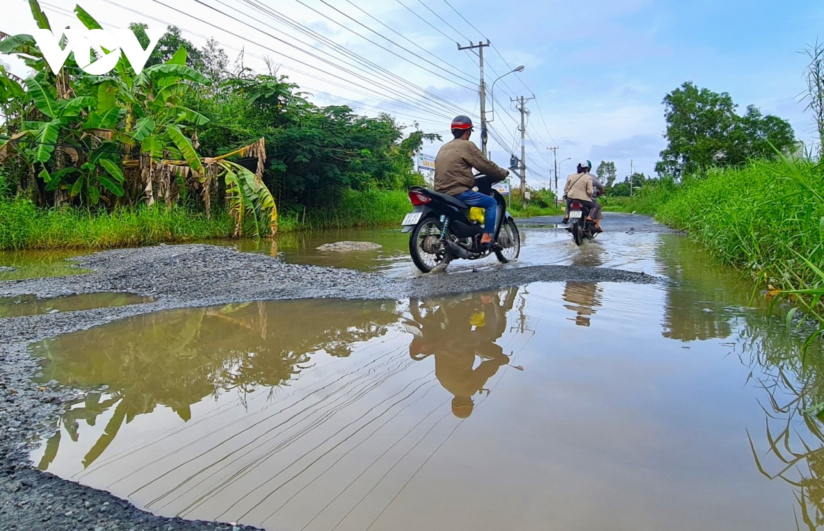 Duong noi o thanh pho ca mau chi chit o voi hinh anh 2