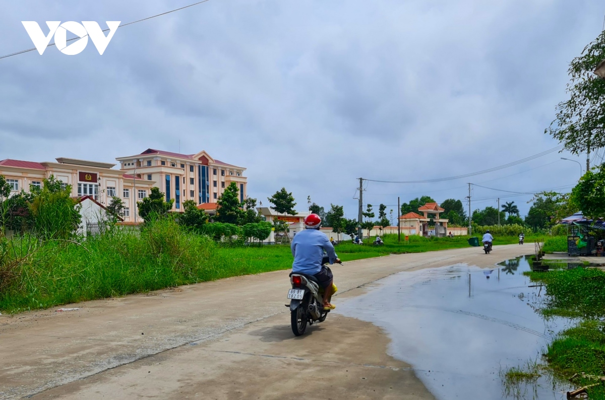 Duong noi o thanh pho ca mau chi chit o voi hinh anh 3