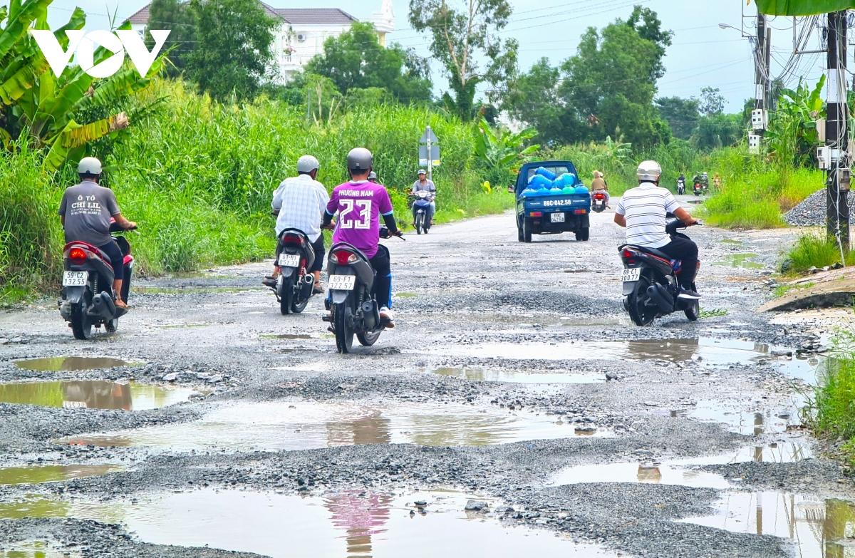 Duong noi o thanh pho ca mau chi chit o voi hinh anh 4