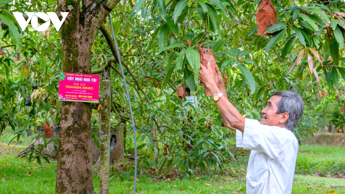 Hội quán nông dân Đồng Tháp chuyển tư duy từ sản xuất sang kinh tế nông nghiệp