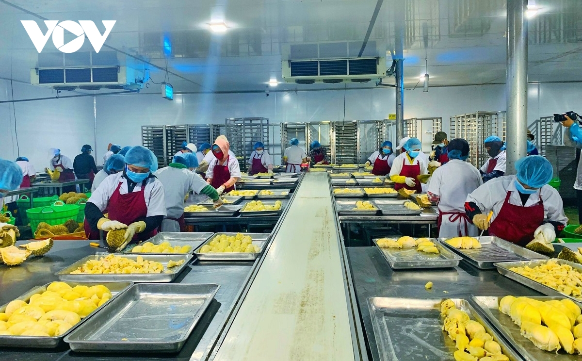 Agriculture remains only bright spot in Vietnamese exports: HSBC