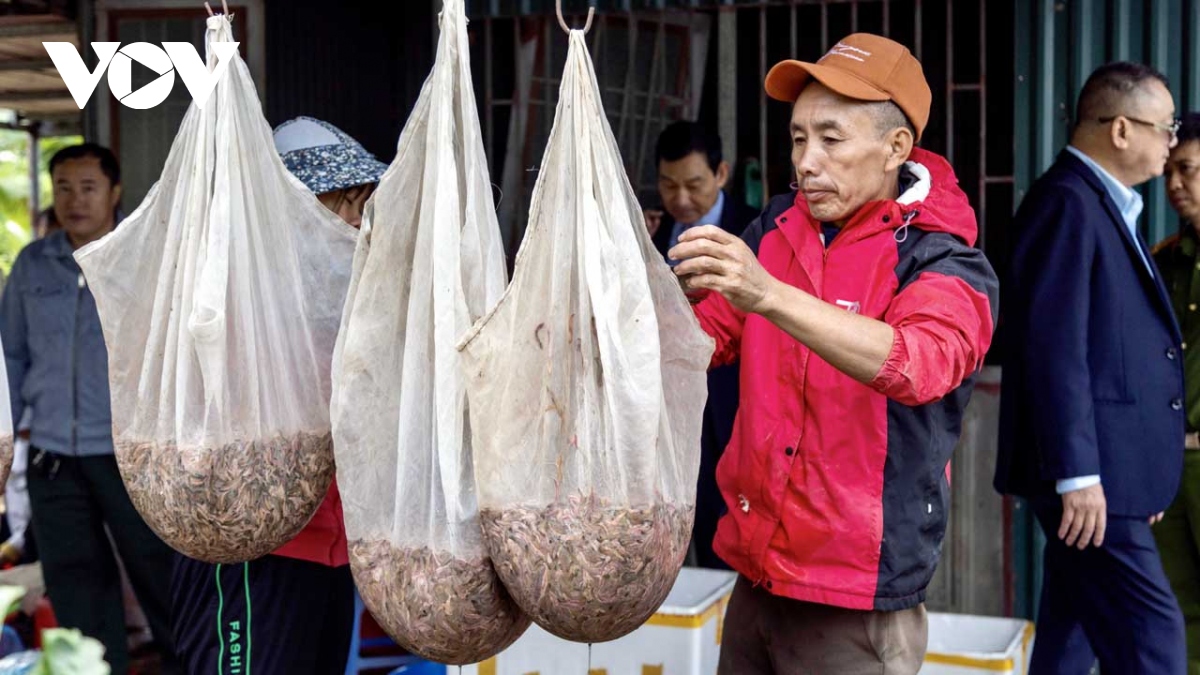 mua ruoi chinh vu o tu ky, hai duong nguoi dan vot den dau ban het den do hinh anh 6