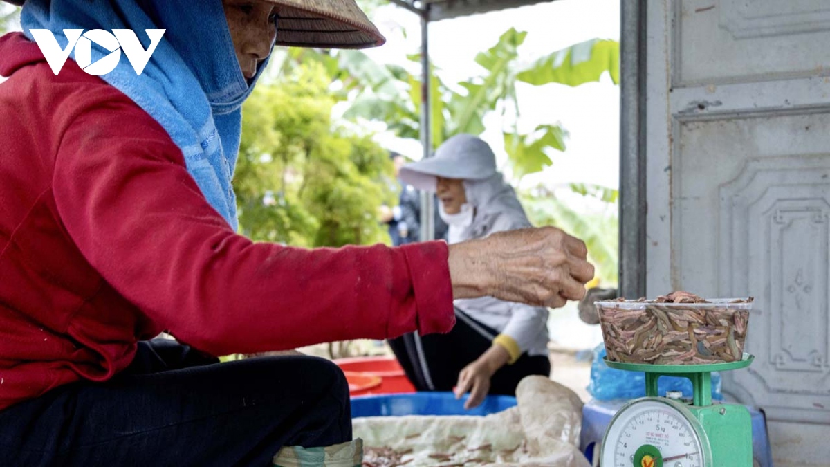 mua ruoi chinh vu o tu ky, hai duong nguoi dan vot den dau ban het den do hinh anh 8