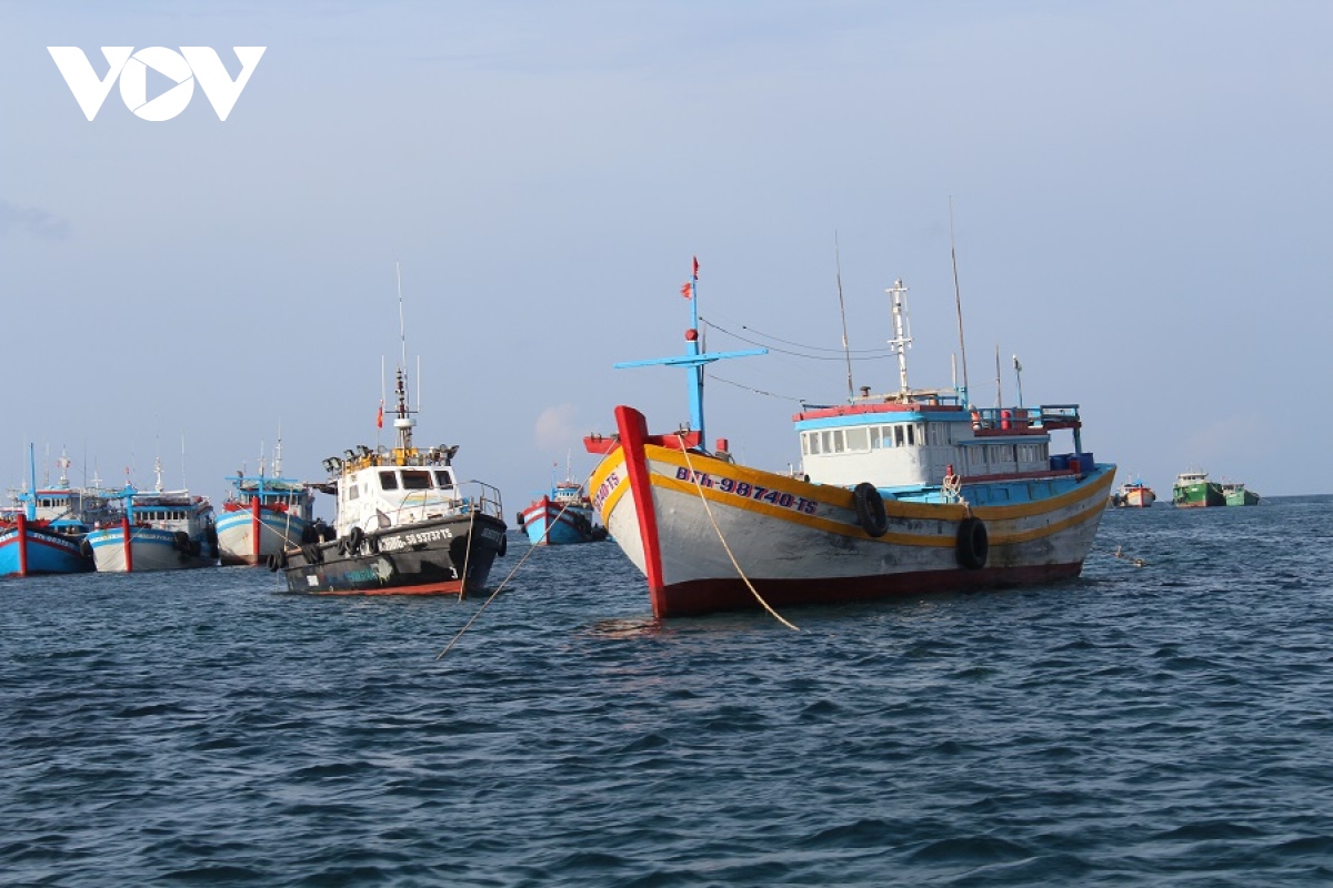 Da tiep can duoc tau ca co 14 ngu dan tha troi tren vung bien binh thuan hinh anh 1