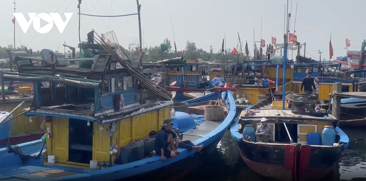 Ngư dân Quảng Ngãi tuân thủ quy định “Đi khai về báo”