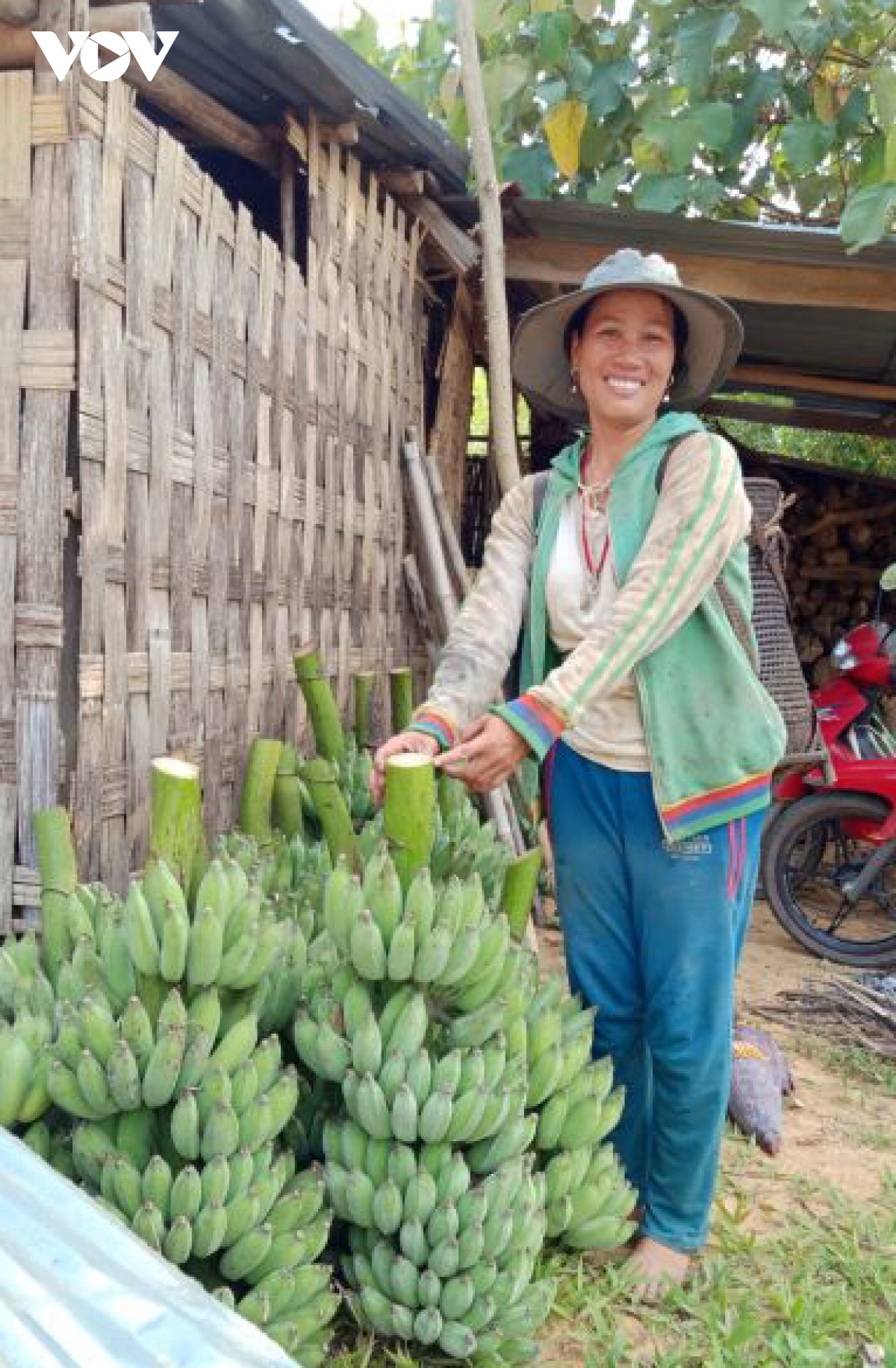 nguoi co tu mien nui quang nam trong chuoi moc thoat ngheo hinh anh 3