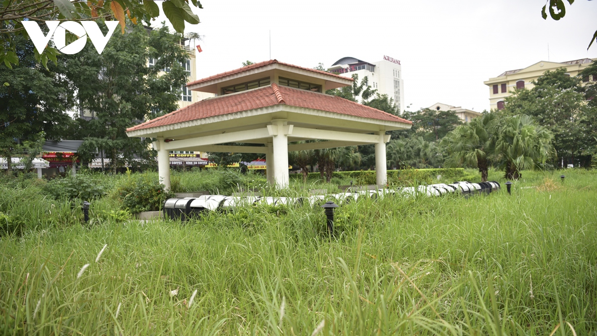 cong vien hang tram ty tai ha noi xuong cap, nhech nhac, co moc um tum hinh anh 11