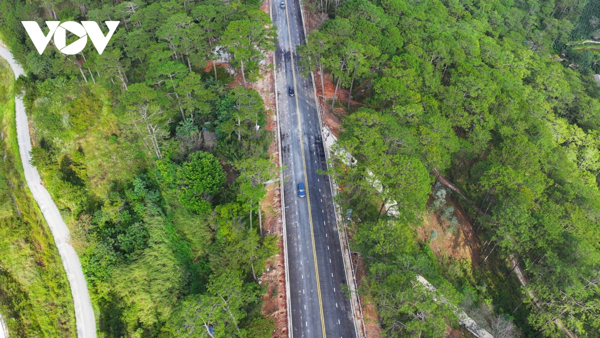 thong xe 3km doan dau cua tuyen deo prenn Da lat hinh anh 3