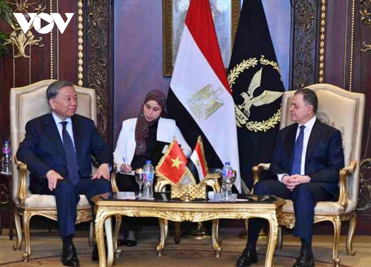 vietnam and egypt to soon convene joint committee meeting picture 2