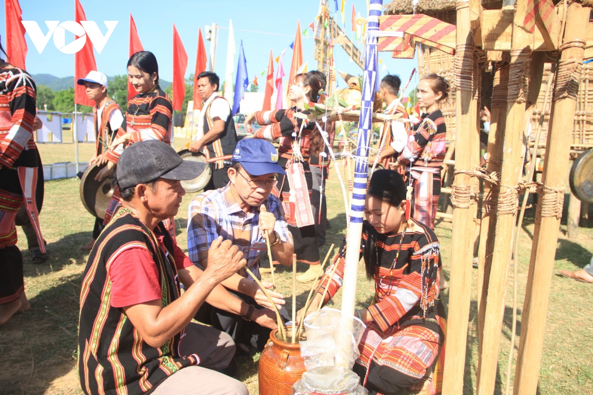 bình Định lưu giữ văn hóa truyền thống của đồng bào dân tộc thiểu số hình ảnh 2 binh Dinh luu giu van hoa truyen thong cua dong bao dan toc thieu so hinh anh 2