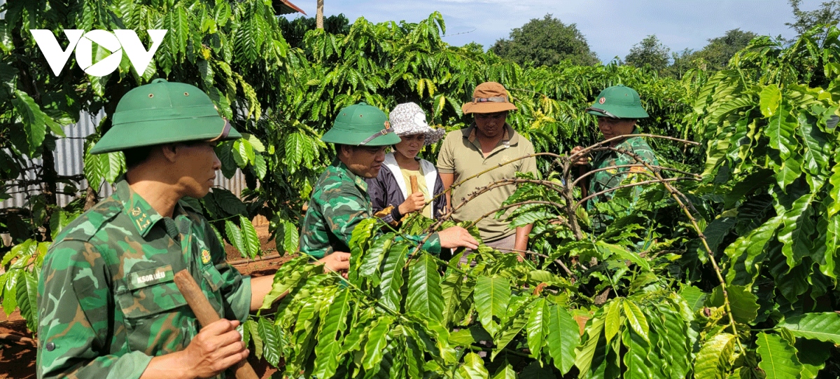 Bộ đội Biên phòng Gia Lai giúp người dân biên giới vươn lên thoát nghèo