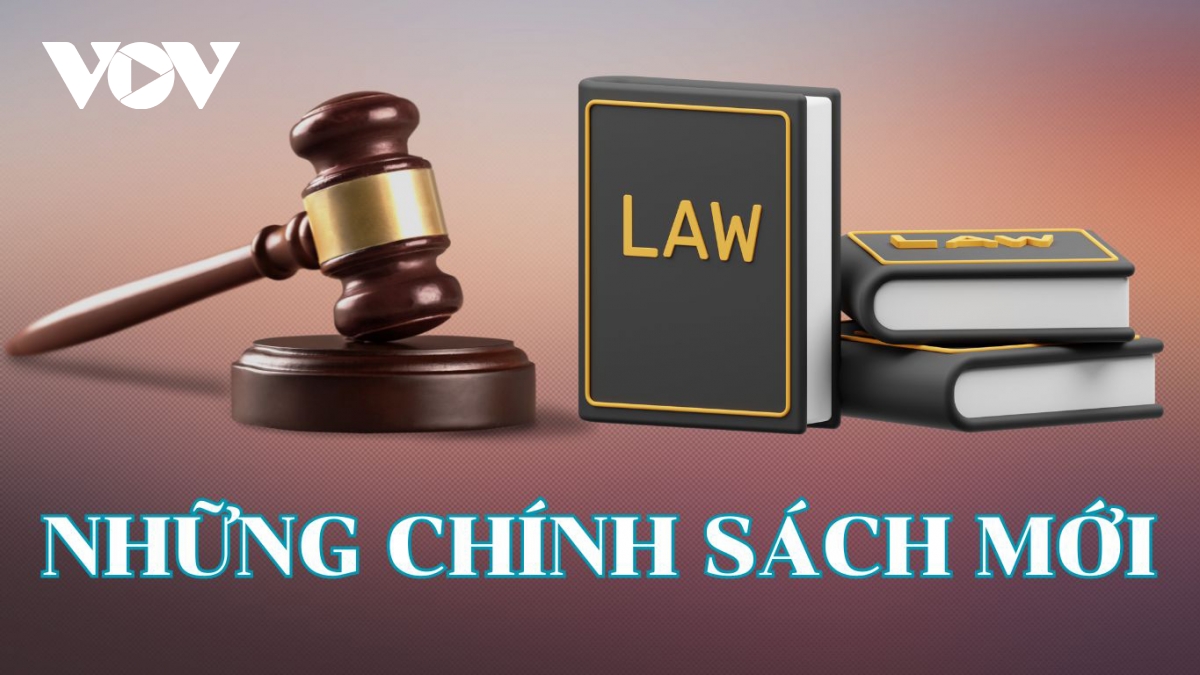 Những chính sách nổi bật có hiệu lực từ tháng 1/2024