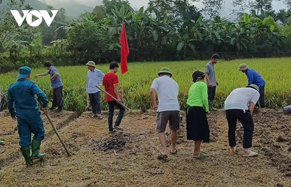 Dong bao dan toc thieu so yen bai huong toi muc tieu tang them nang suat hinh anh 3