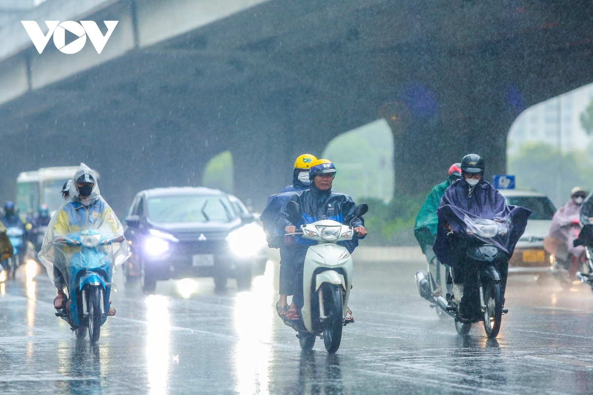 ngay dau nghi le, nguoi dan doi mua roi ha noi ve nghi tet duong lich 2024 hinh anh 1