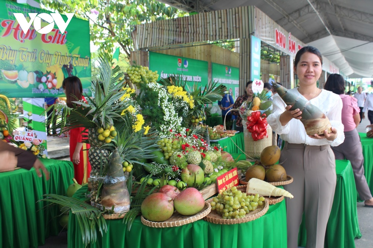 nhieu hoat dong van hoa chao don nam moi 2024 o ninh thuan hinh anh 1