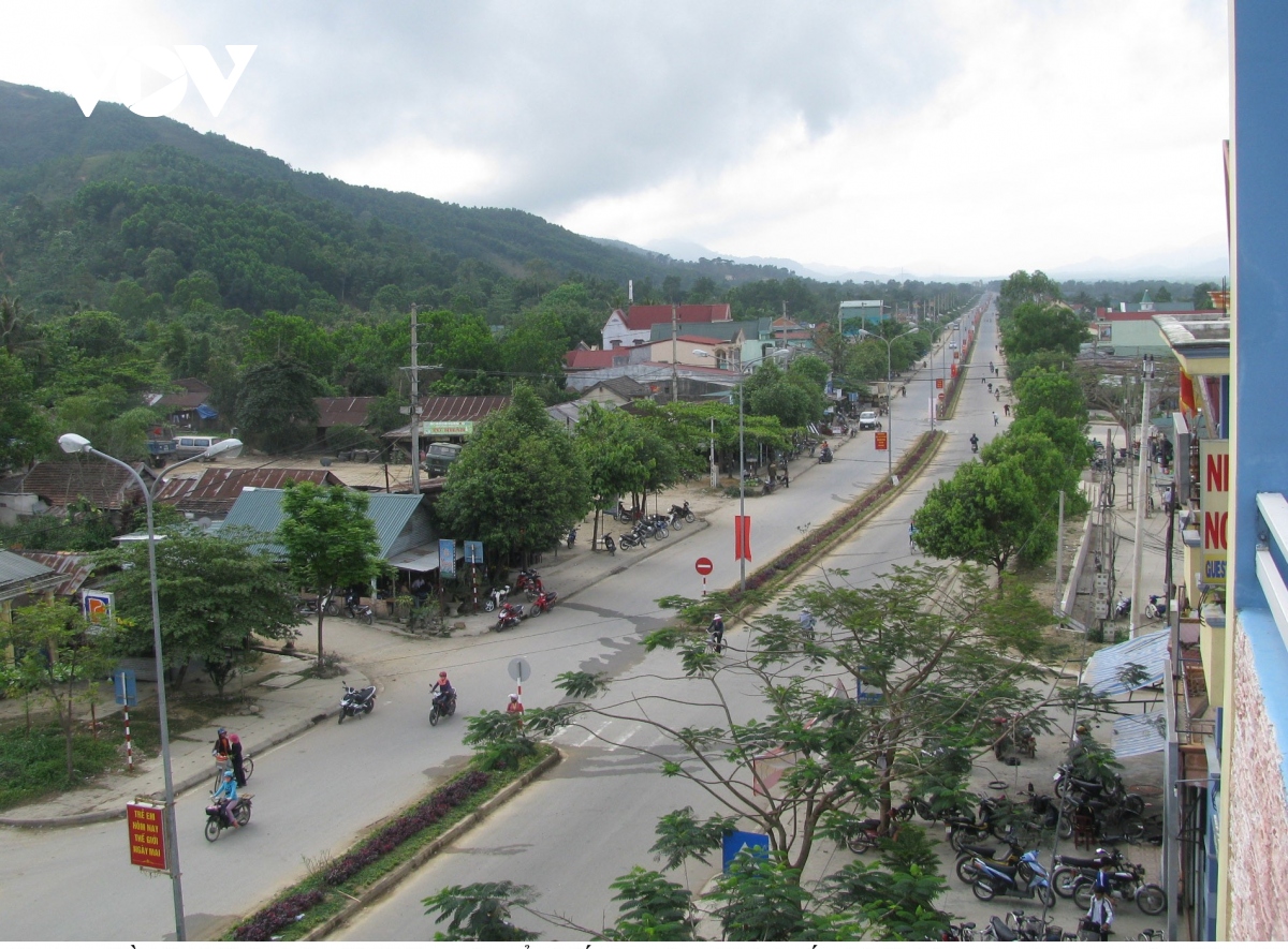 hieu qua buoc dau du an trong cay duoc lieu o vung dat a luoi hinh anh 5