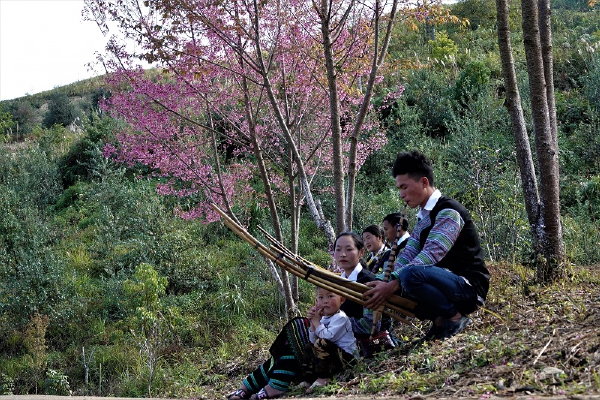 Sắp diễn ra Festival trình diễn khèn Mông, Lễ hội hoa Tớ Dày ở Yên Bái