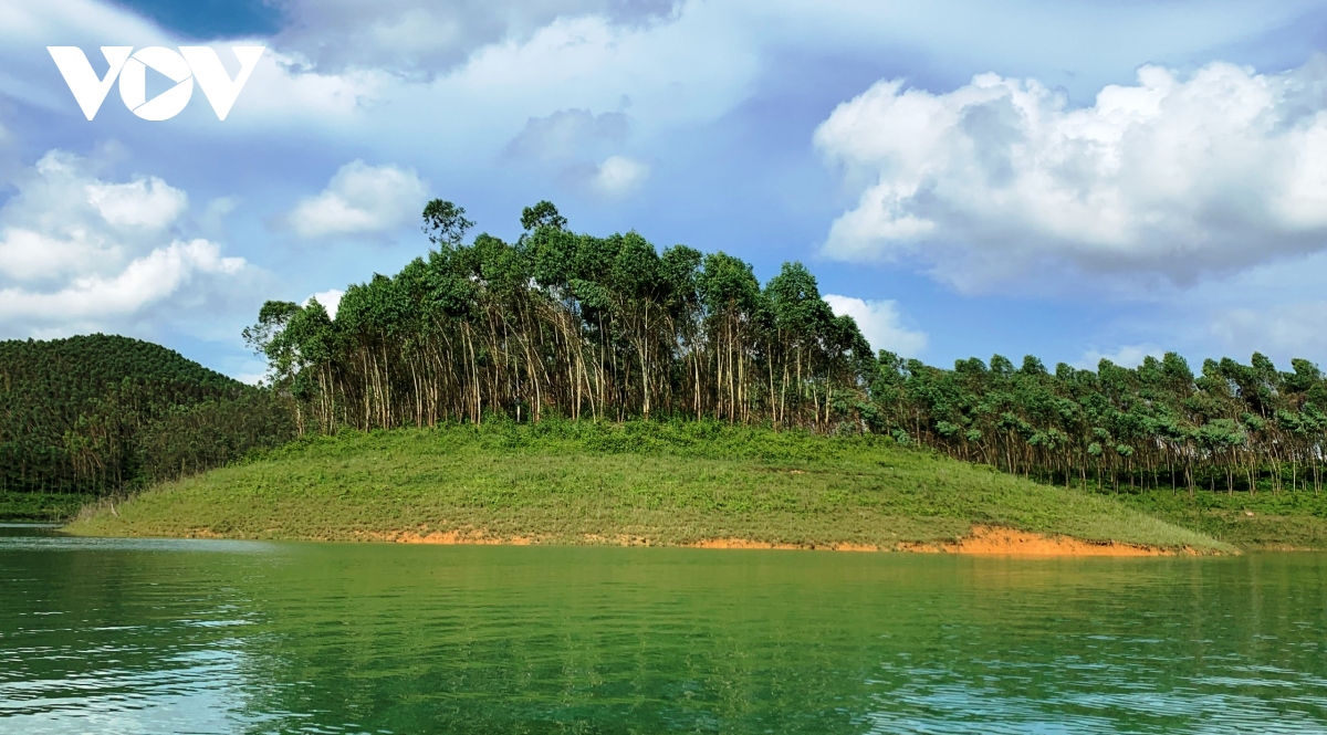 yen bai phan dau tro thanh trung tam che bien lam san cong nghe cao hinh anh 2