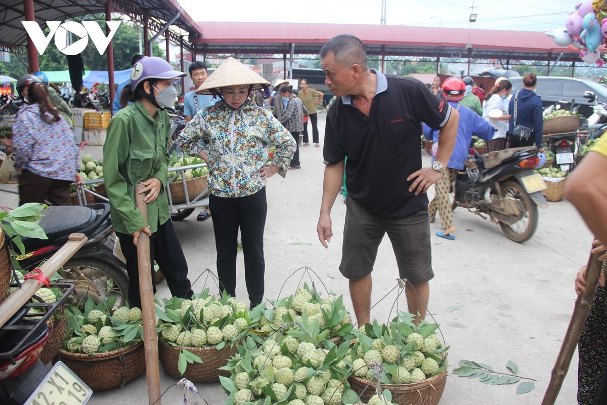 lang son tap trung phat trien na trai vu hinh anh 4