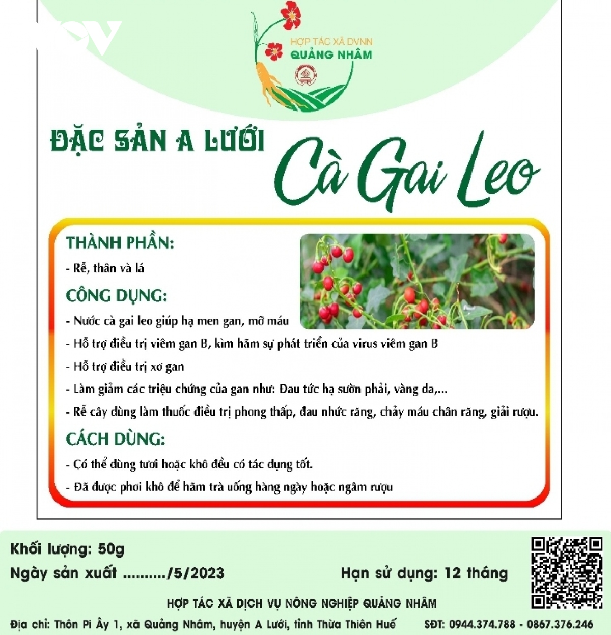 hieu qua buoc dau du an trong cay duoc lieu o vung dat a luoi hinh anh 7