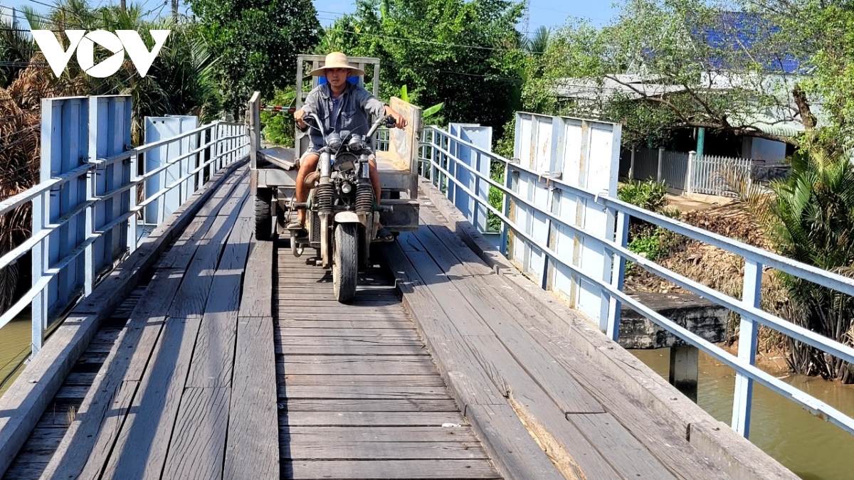 nhieu truong hop dan te nga vi cay cau lau nam kem an toan o tien giang hinh anh 4