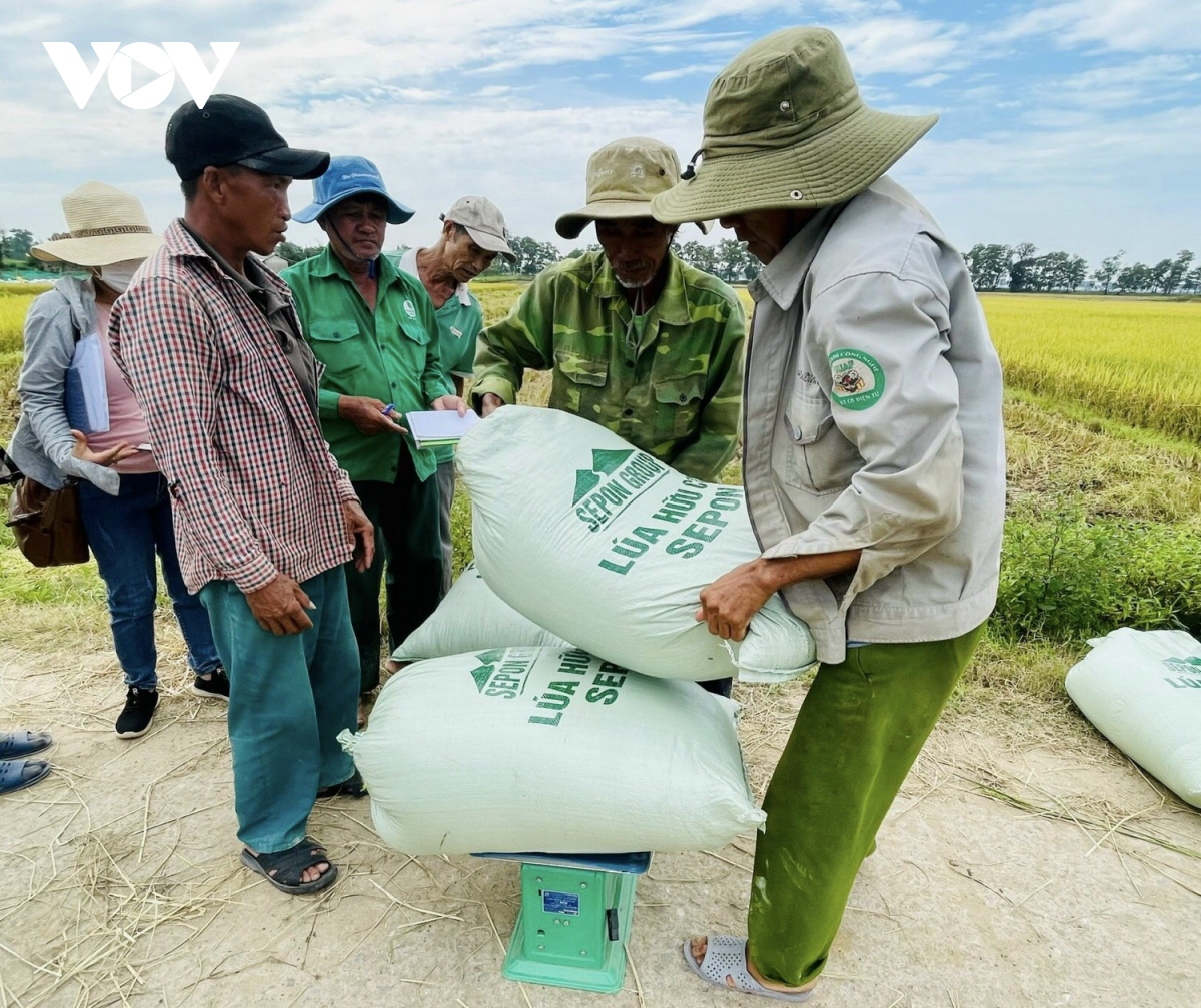 quang tri xay dung vung chuyen canh nong san huu co xuat khau hinh anh 3