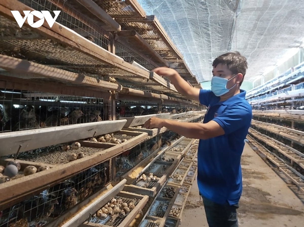 Khởi nghiệp đổi mới sáng tạo để tăng năng suất lao động