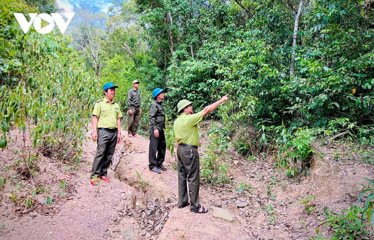 Sạt lở hầm đường sắt Chí Thạnh, gần 2.700 hành khách phải chuyển tải bằng ô tô