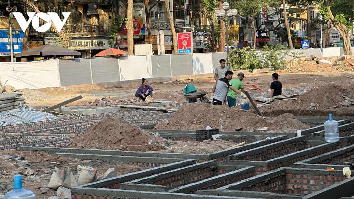 can canh loat vuon hoa, vuon dao o ha noi dang duoc cai tao, chinh trang hinh anh 4