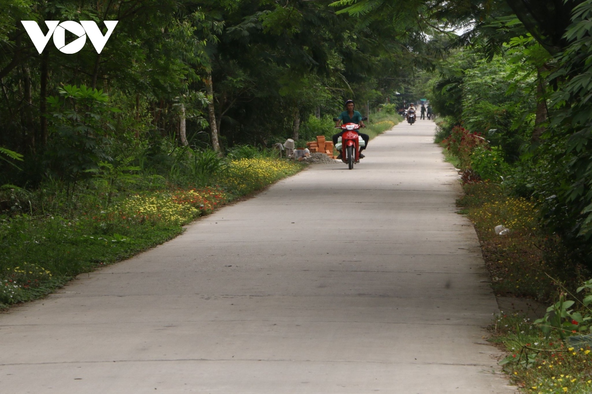 vung dong bao khmer khoi sac vui xuan don tet hinh anh 2