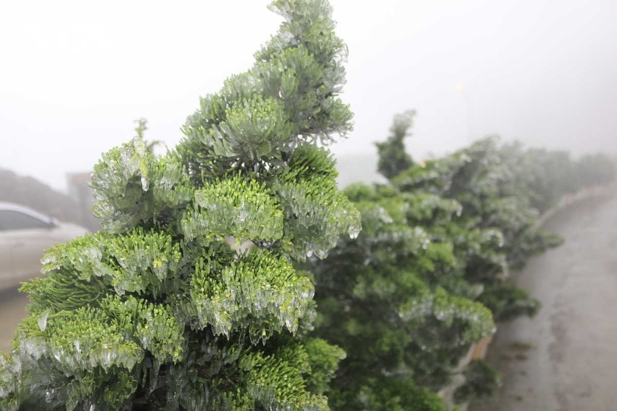 高手下山：开局看破女总裁气运最新章节