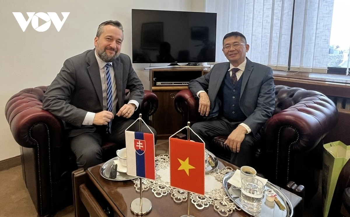 vietnam is slovakia s important partner, says slovak official picture 1