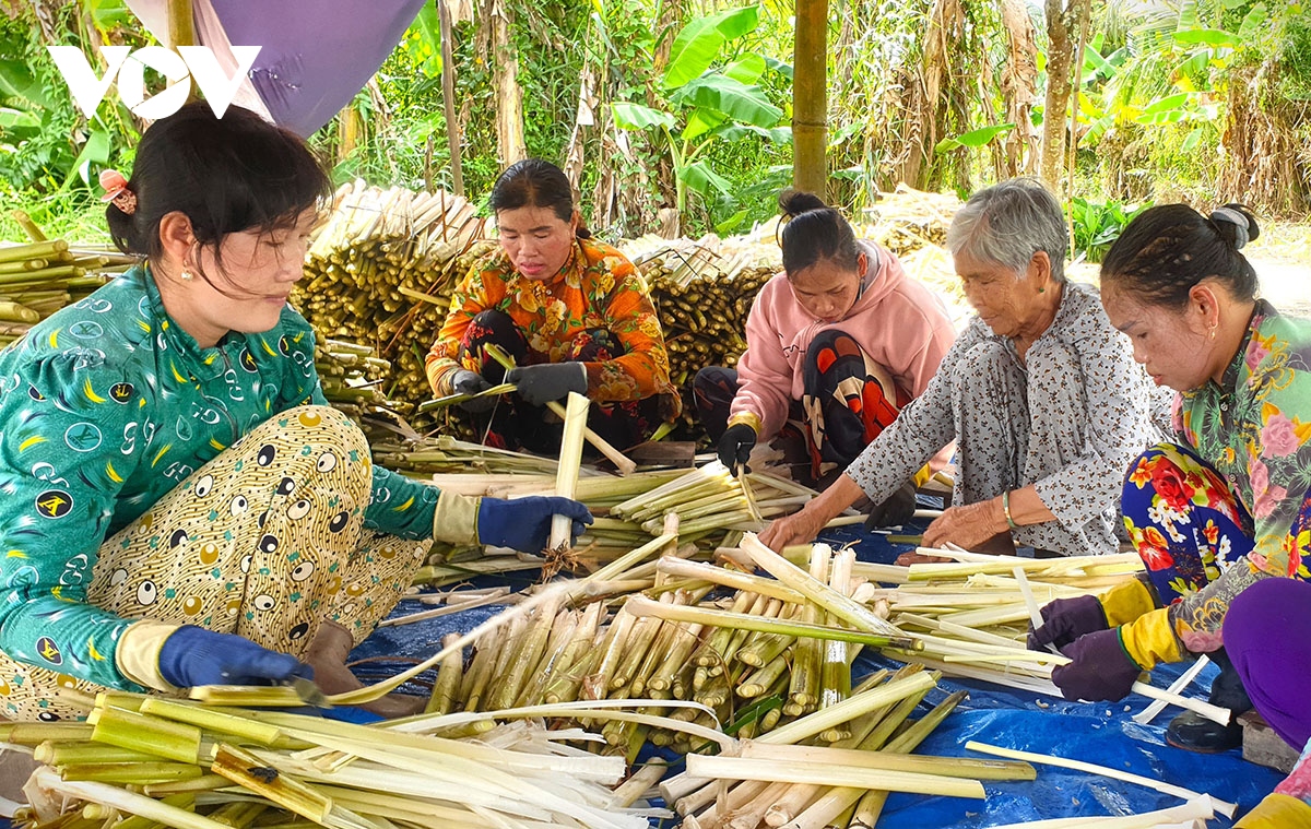 Cà Mau rà soát tình hình phụ nữ mất việc về địa phương để hỗ trợ phù hợp