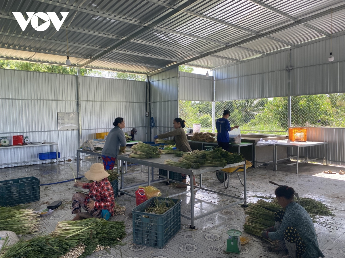 Chủ động tháo gỡ khó khăn cho doanh nghiệp