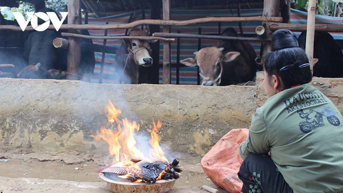 nhieu phuong an phong chong doi, ret cho dan vat nuoi o son la hinh anh 5