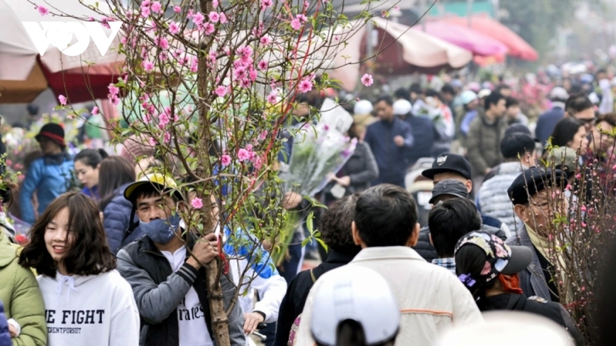 Severe cold spell dissipates, warm weather expected in Northern Vietnam