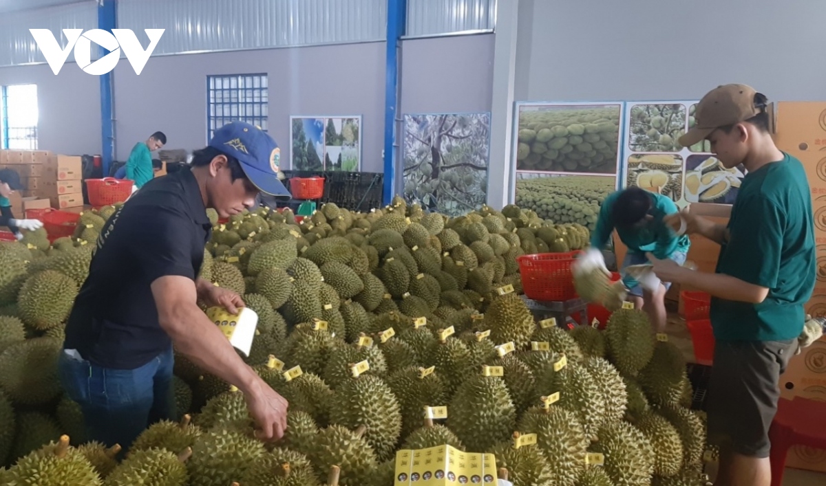 doanh nghiep dang ky ma so xuat khau vao thi truong trung quoc tang cao hinh anh 1